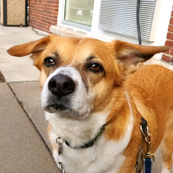 Meet your Posher, Chris - Picture 5 of 5